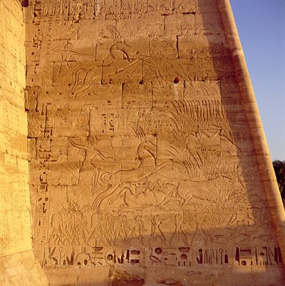 Ramesses III Hunting Wild Bulls from the First Pylon of the Temple of Ramesses III, Relief, New Kingdom by Egyptian 20th Dynasty